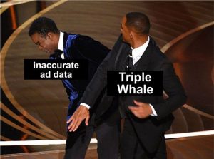 Triple Whale Review 2024